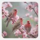 Search for finch stickers Red