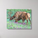 Search for danita delimont canvas prints Cathy