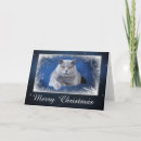 Search for british shorthair cards Cute