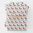 Search for 4th of july wrapping paper Funny