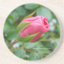 Search for bud coasters Nature