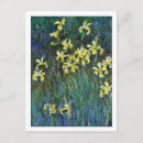 Recherche de iris jaune cartes postales Vintage