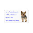 Search for yorkie return address labels Puppies
