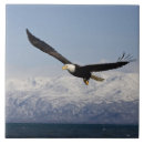 Recherche de aigle carreaux Alaska