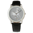 Search for arabian horse accessories Equine