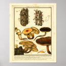 Recherche de variété art Vintage