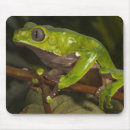 Search for day frog mousepads Green