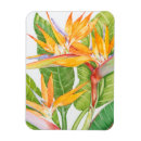 Recherche de exotique magnets Fleurs