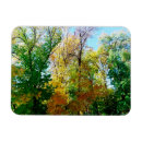 Search for parkland postcards Forest