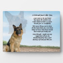 Search for german shepherd photo display Dog