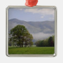 Search for meadow ornaments Scenic