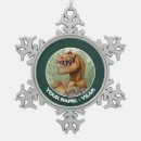 Search for the good dinosaur ornaments Pixar