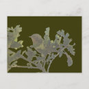 Recherche de jaunâtre cartes postales Nature