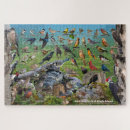 Recherche de oiseau puzzles Observation des oiseaux