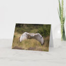 Recherche de duc vœux cartes Photographie