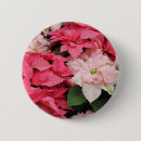 Recherche de poinsettia badges Fleur