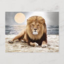 Recherche de photo de lion cartes postales Pour tous