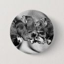 Recherche de chiot rottweiler badges Rottweilers