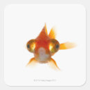 Search for two if by sea stickers Orange