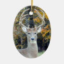 Search for buck ornaments Animal