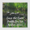 Search for tortoise magnets Photography