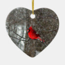 Search for red cardinal bird ornaments Beautiful
