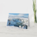 Search for medium format cards Nobody