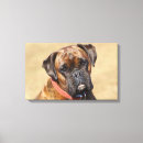 Search for boxer dog canvas prints Headshot