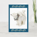 Search for polar bear cub cards Cute