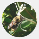 Search for honeysuckle stickers Floral
