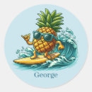 Search for cool pineapple stickers Surfing