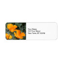 Search for orange poppy return address labels California