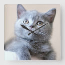 Search for selected baby kids Cat