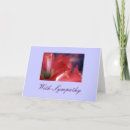 Recherche de amaryllis vœux cartes Couleur