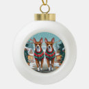 Search for basenji ornaments Animal