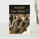 Search for orangutan birthday cards Zoo