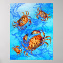 Recherche de crabes posters Mer