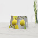 Recherche de baisses de citron Citrons