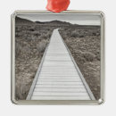 Search for arid ornaments Desert