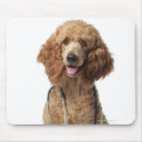 Recherche de stéthoscope tapis souris Humour