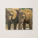 Recherche de éléphants puzzles Toute personne