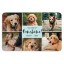 Recherche de pet photo magnets Moderne