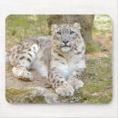 Search for chats electronics Animals