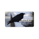 Search for blackbird return address labels Crows