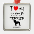 Search for breed ornaments Owner