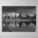 Search for black and white forest posters Snow