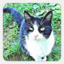 Search for beautiful cat stickers Black