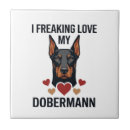 Recherche de dobermann carreaux Pug