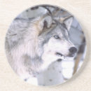 Search for movie coasters Winter