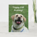 Recherche de labrador vœux cartes D'anniversaire